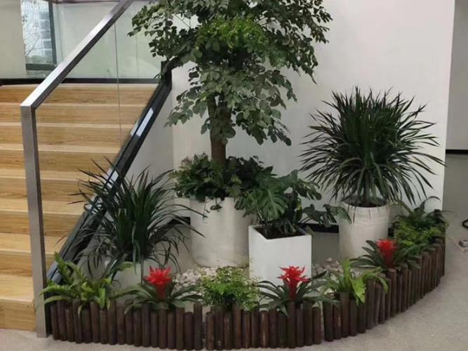 上海室外绿植花卉租赁养护指南 打造四季常青的户外空间